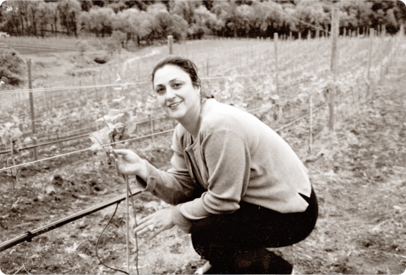 VP Momtazi History Pod 2 Image