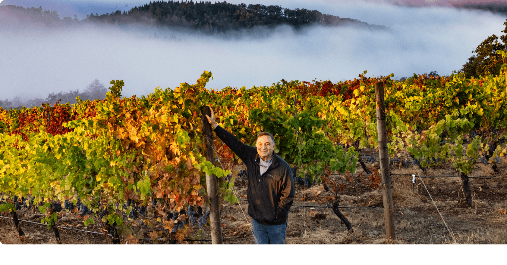 VP Momtazi Testimonials Image