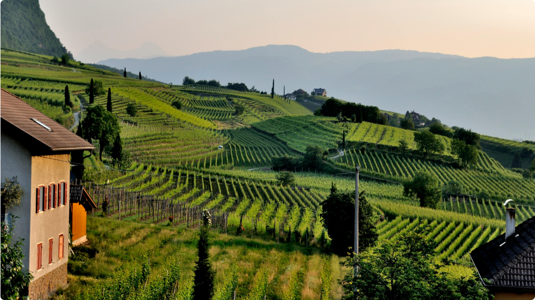 Nobody Goes Further Image 