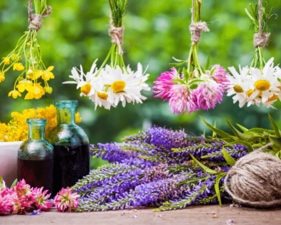 Herbs for good Mental Health