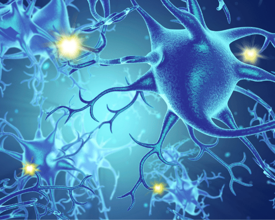 Spotting and Serving Signs of Nerve Damage