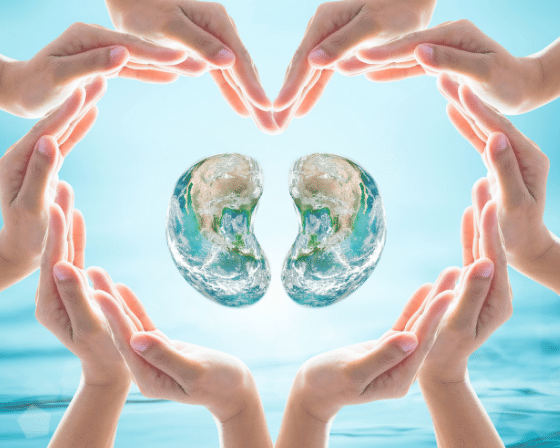 Secrets to keep your Kidney Healthy