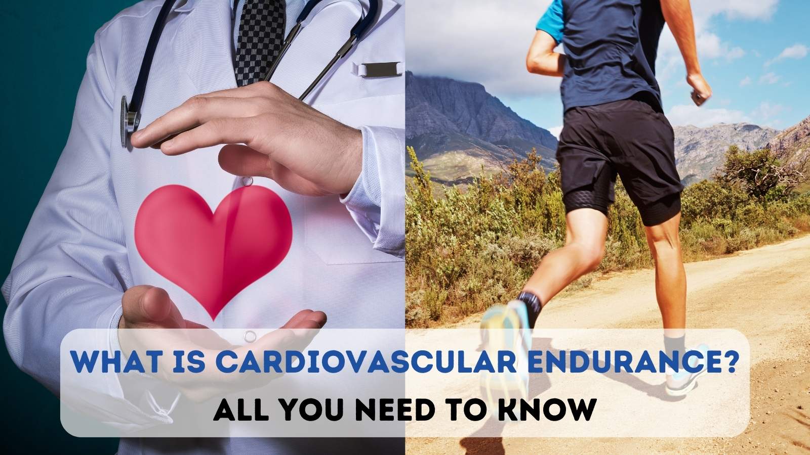 What is Cardiovascular Endurance