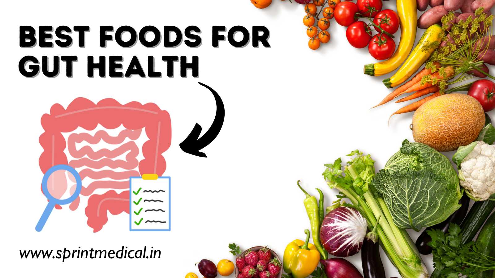 Best Foods For Gut Health