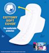 comfort feel xl pad