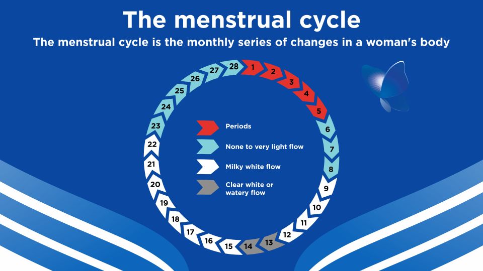 What is a Period? - Image 2 - Stayfree - hi-IN