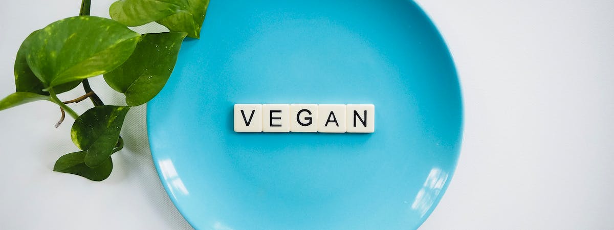 Motatos | Tipps Für Deinen Veganuary 2024 | Vegane Produkte