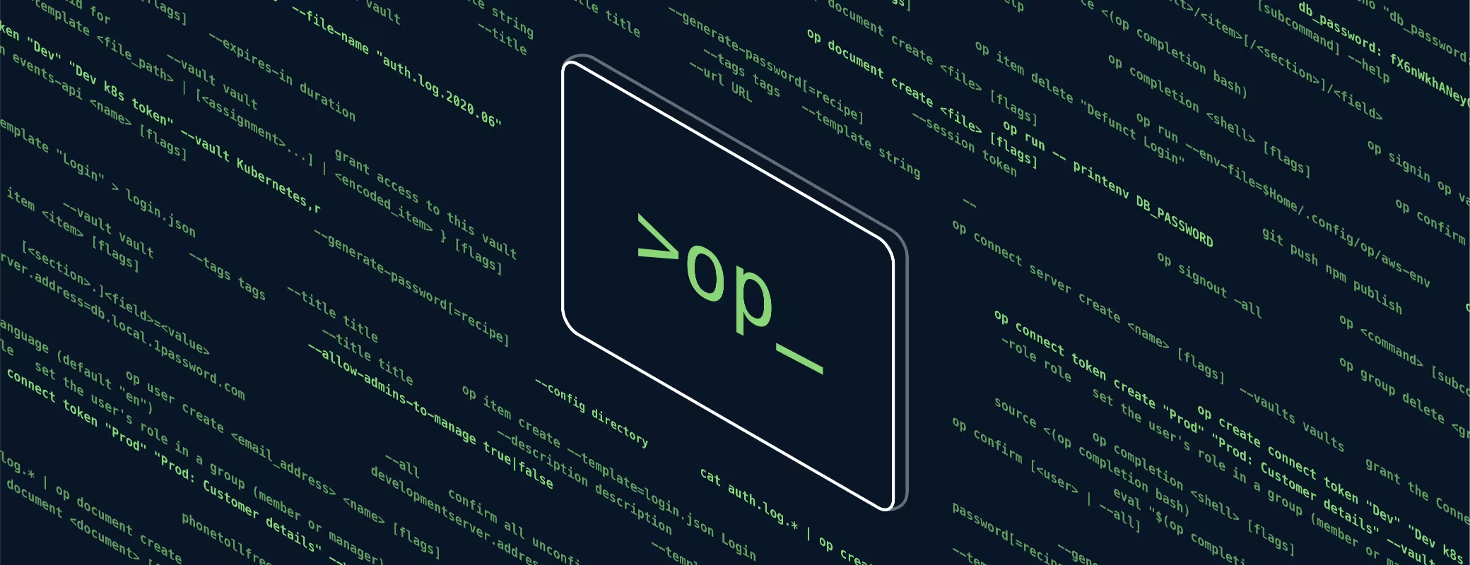 How the 1Password CLI makes DNS management easier