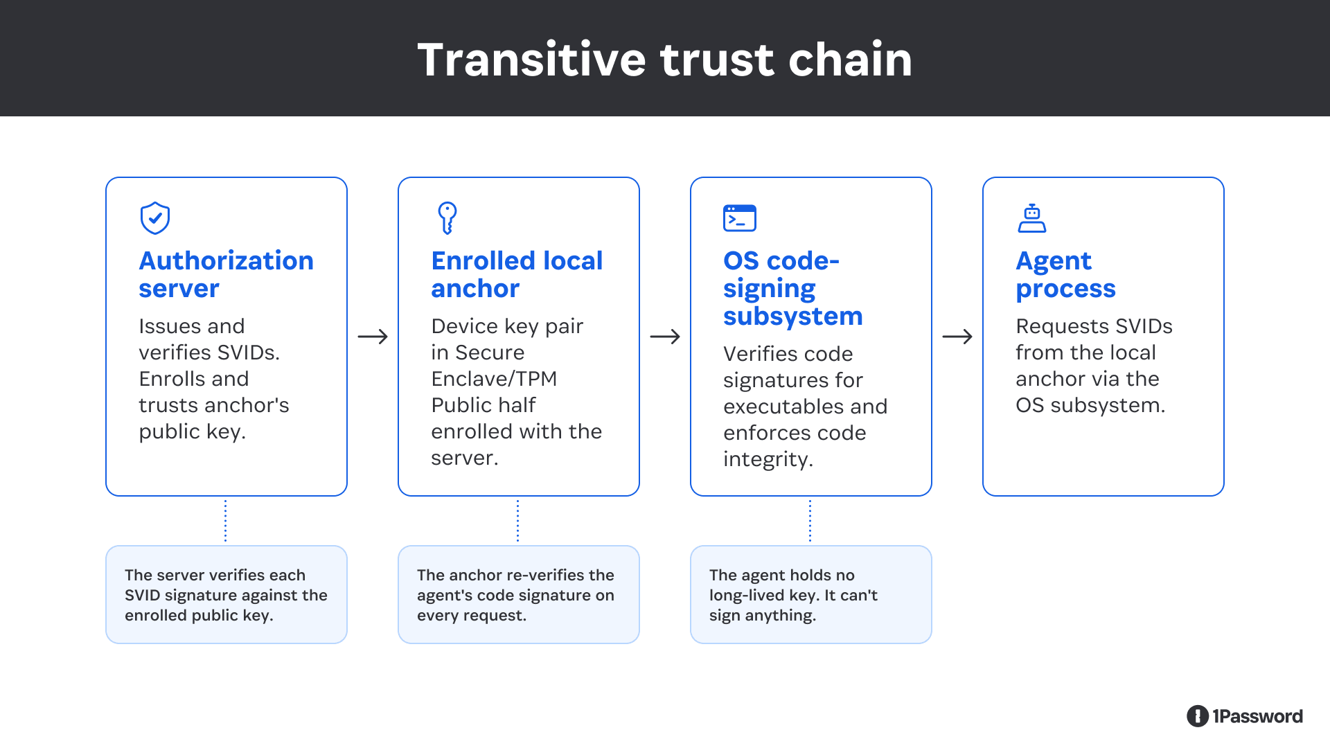 A flow diagram titled "Transitive Trust Chain" showing four sequential components connected by arrows, each in a blue-outlined card. From left to right: (1) Authorization server — issues and verifies SVIDs, enrolls and trusts the anchor's public key. Below: "The server verifies each SVID signature against the enrolled public key." (2) Enrolled local anchor — a device key pair stored in a Secure Enclave or TPM, with the public half enrolled with the server. Below: "The anchor re-verifies the agent's code signature on every request." (3) OS code-signing subsystem — verifies code signatures for executables and enforces code integrity. Below: "The agent holds no long-lived key. It can't sign anything." (4) Agent process — requests SVIDs from the local anchor via the OS subsystem. No note below. Each card includes a small blue icon representing its role. The 1Password logo appears in the bottom-right corner.