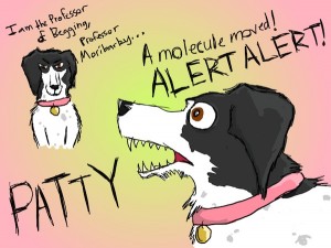 What have we learned and what is there to do?