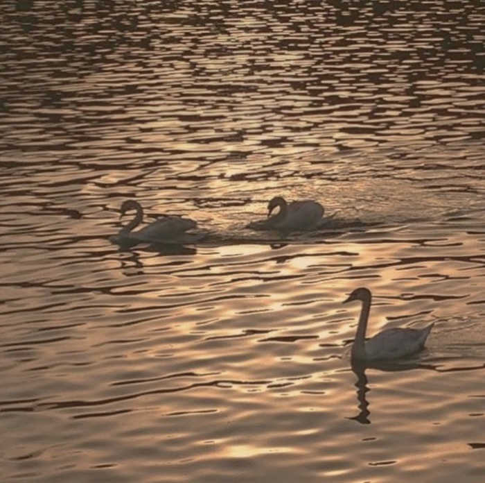 Ongewenst of juist gewenst kinderloos, hoe ga je er mee om?