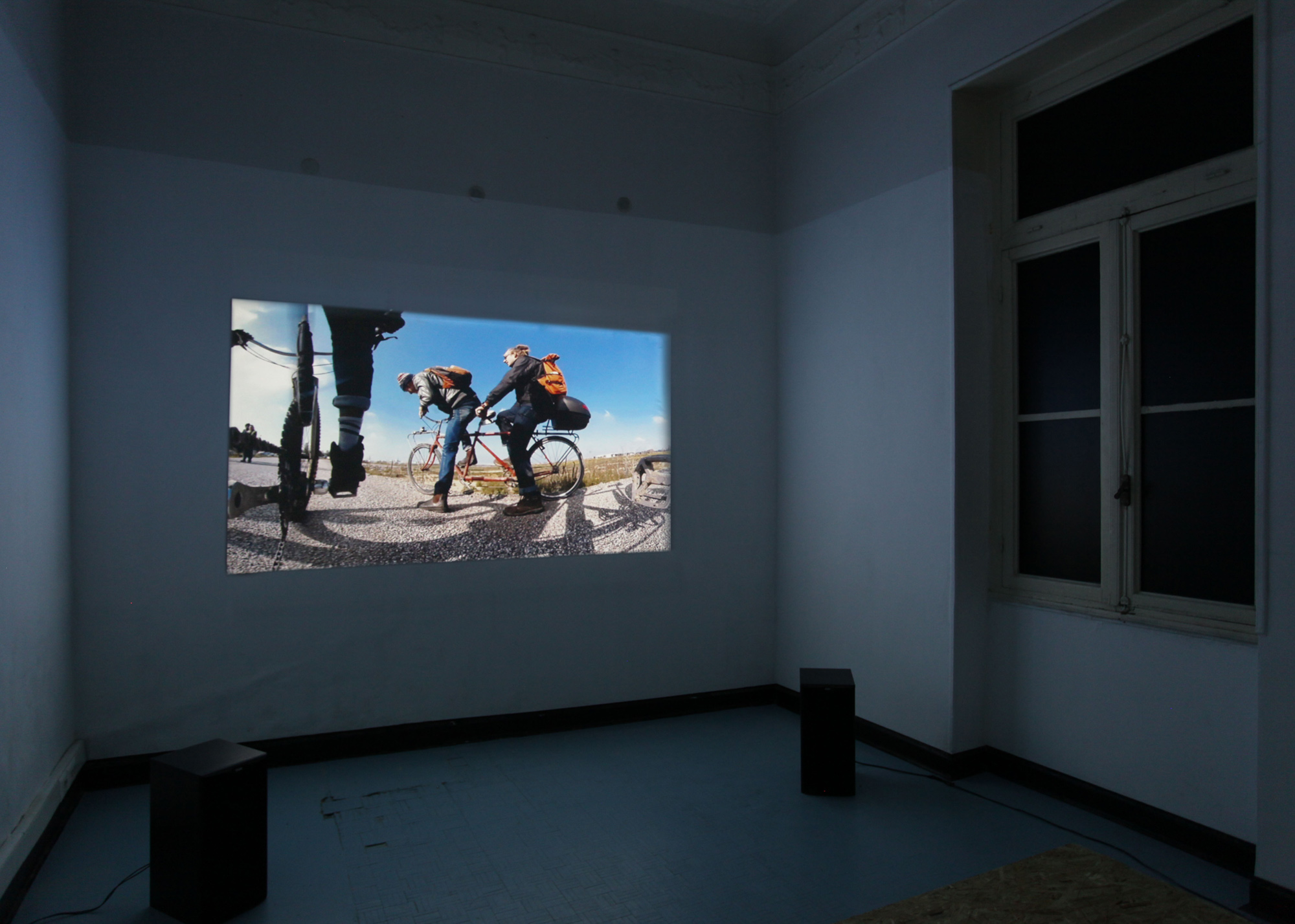 'a/symmetries of the Jungle', Design Unlikely Futures