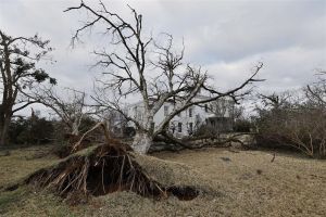 Noodweer zorgt voor tornado's in zuidelijke staten VS