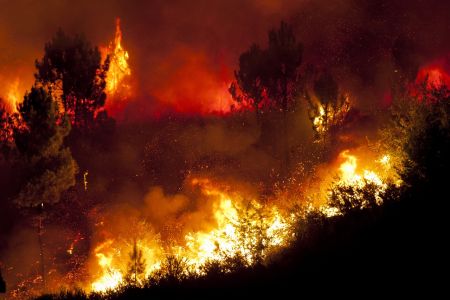 Dit is de invloed van het weer op bosbranden