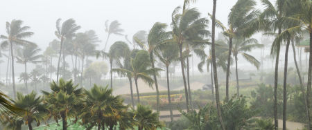 Grote ravage in Florida door orkaan Ian
