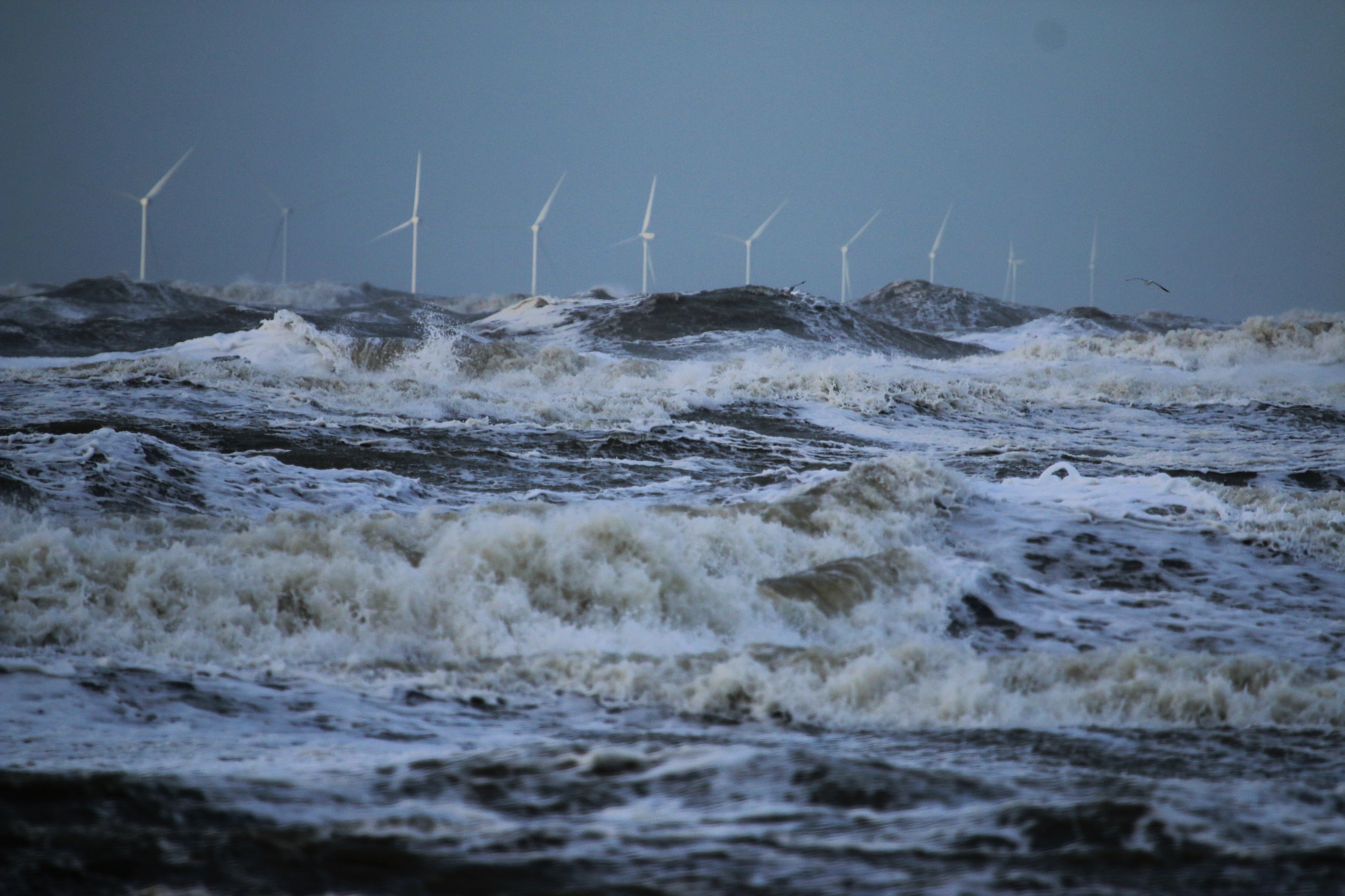 Windmolens op zee. Foto: Afke van der Laan