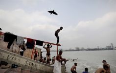 Vogels vallen uit de lucht door hittegolf in India