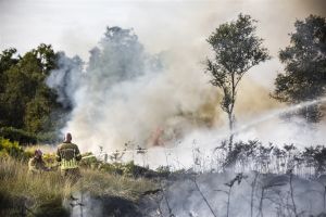 Verhoogd risico op natuurbranden in delen van Nederland