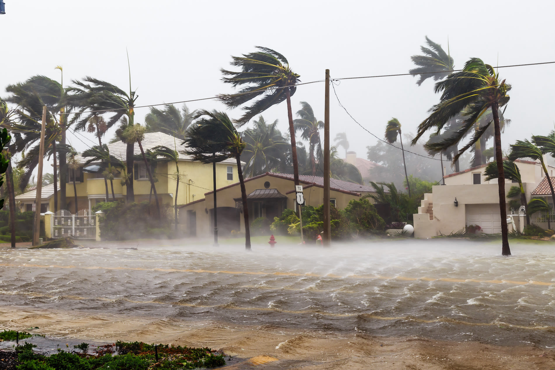 Ondergelopen straten in Florida door orkaan Irma. Foto: Adobe Stock / Satoshi Kina