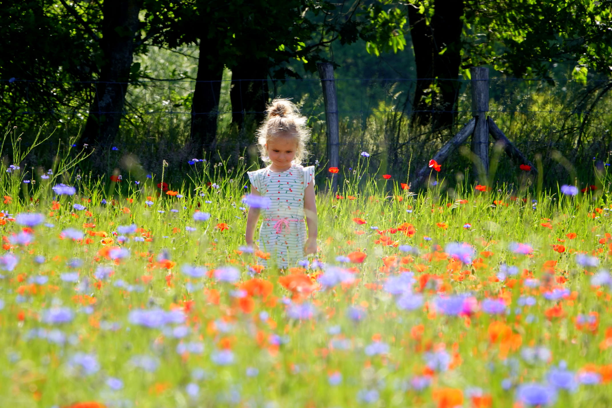 Meisje in de bloemen in juni. Foto: Ben Saanen.