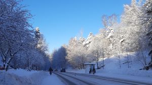 Zo koud wordt het in de winter in Finland