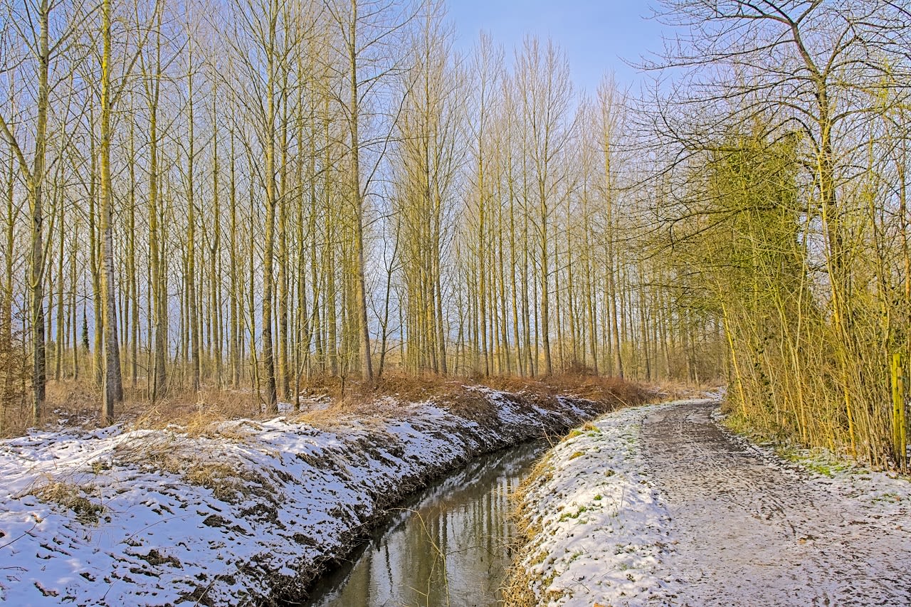 De Zwalmbeek in Munkzwalm in de winter. Foto: Adobe Stock / kristof