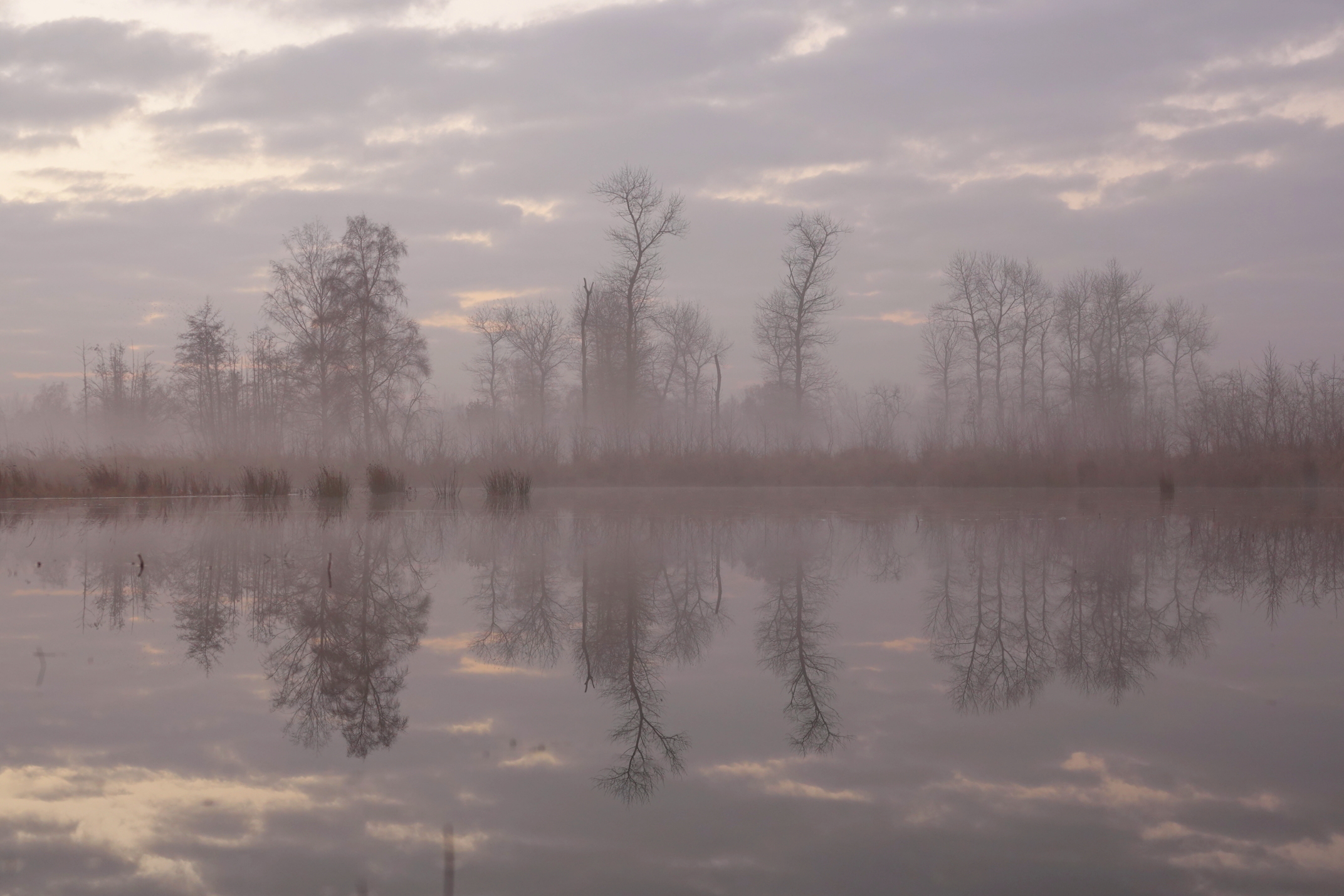 Weekendweer: hoge temperaturen in laatste weekend voor kerst