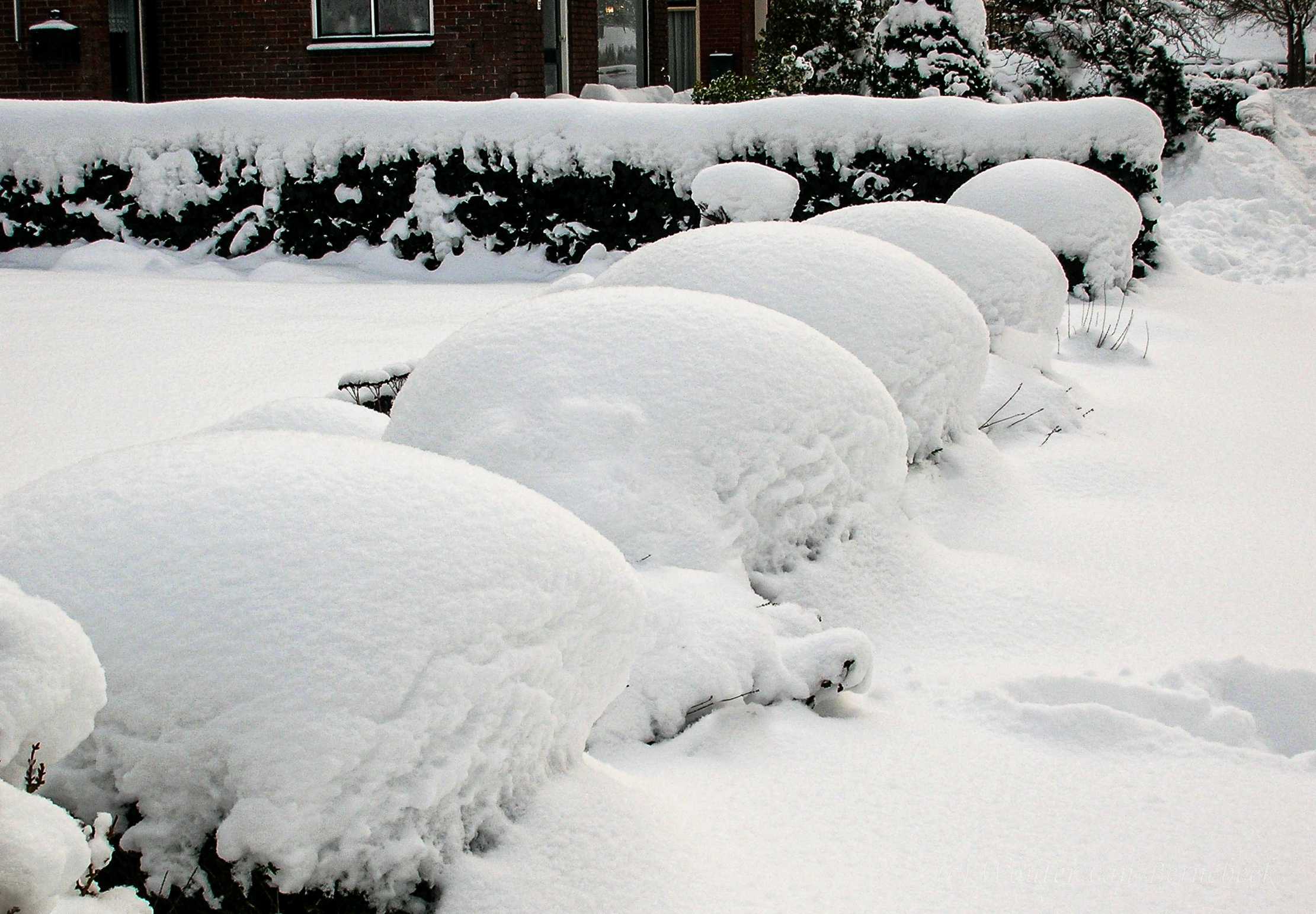Dik pak sneeuw in december 2009, Ureterp, Friesland. Foto: Wouter van Bernebeek