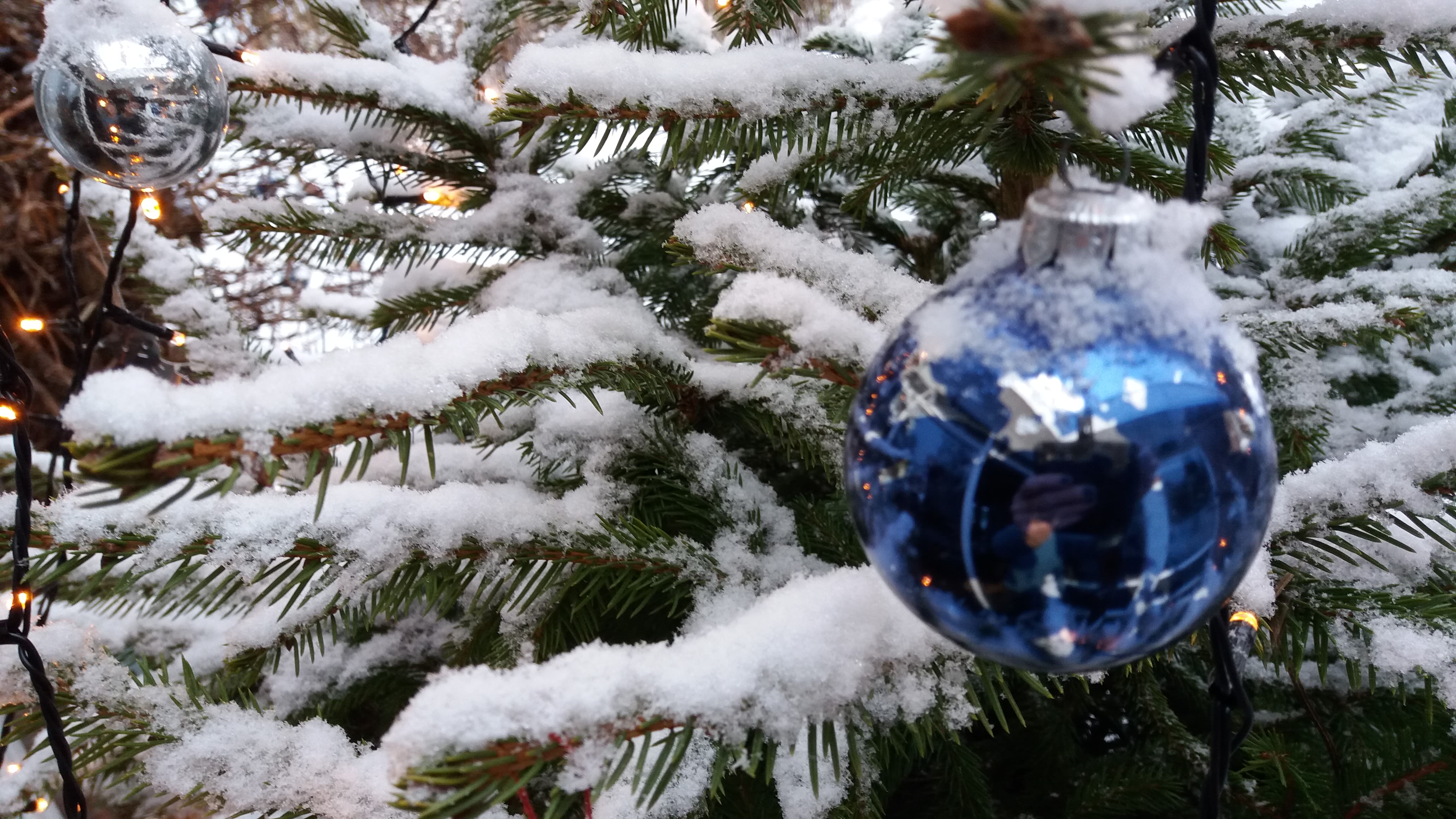 Kerstboom met sneeuw op takken en blauwe kerstbal