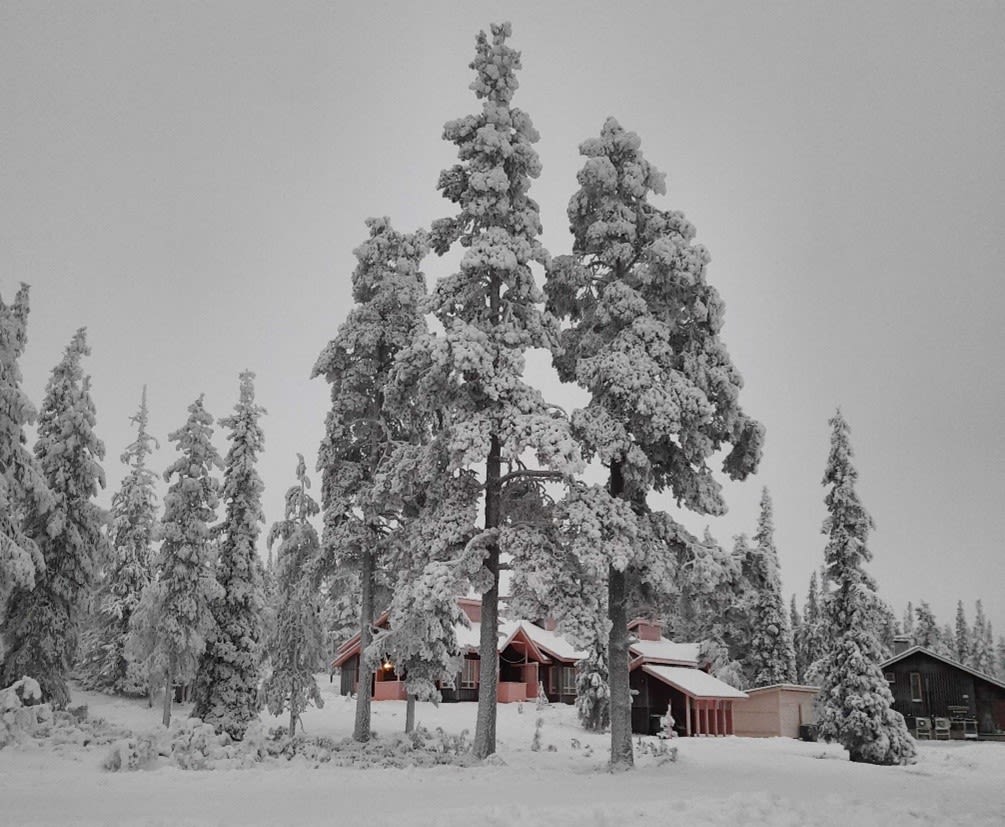 Sneeuw in Saariselkä, Fins Lapland (29-11-2022). Foto: Manouk Vermeulen.
