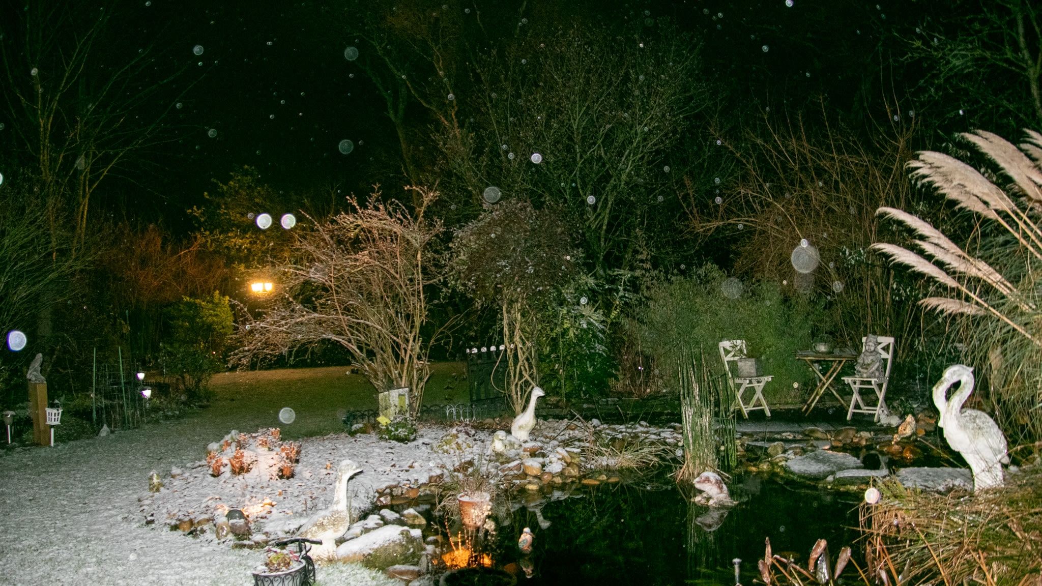tuin, donker, natte sneeuw, sneeuw
Foto: Astrid Wiessner Hoog