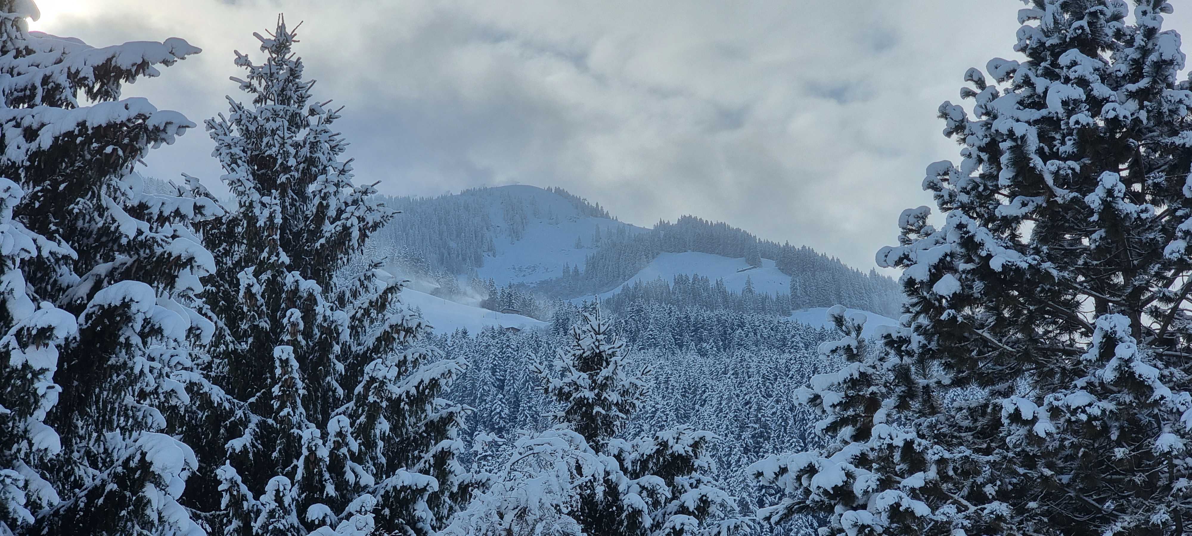 Mooie verse laag sneeuw op de bomen in de Alpen