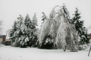 Terugblik: de sneeuwstorm van vrijdag 25 november 2005