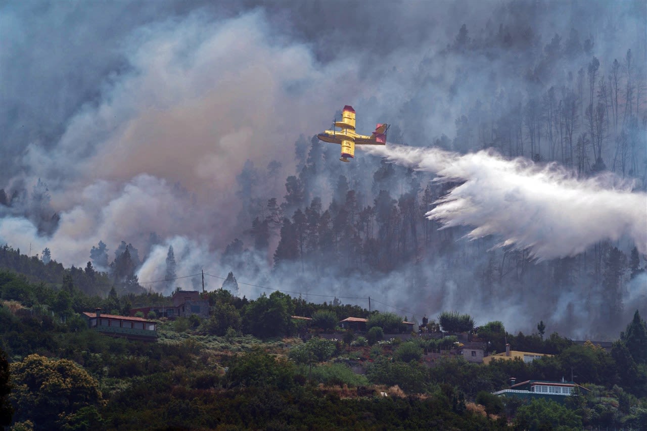 Blusvliegtuig bestrijdt een bosbrand op Tenerife. Foto: EPA/Ramon de la Rocha