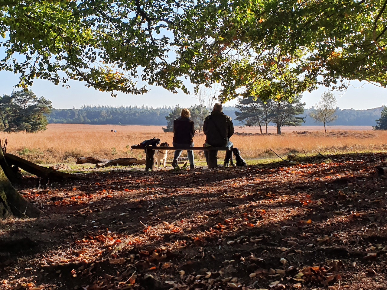 Beautiful autumn weather coming