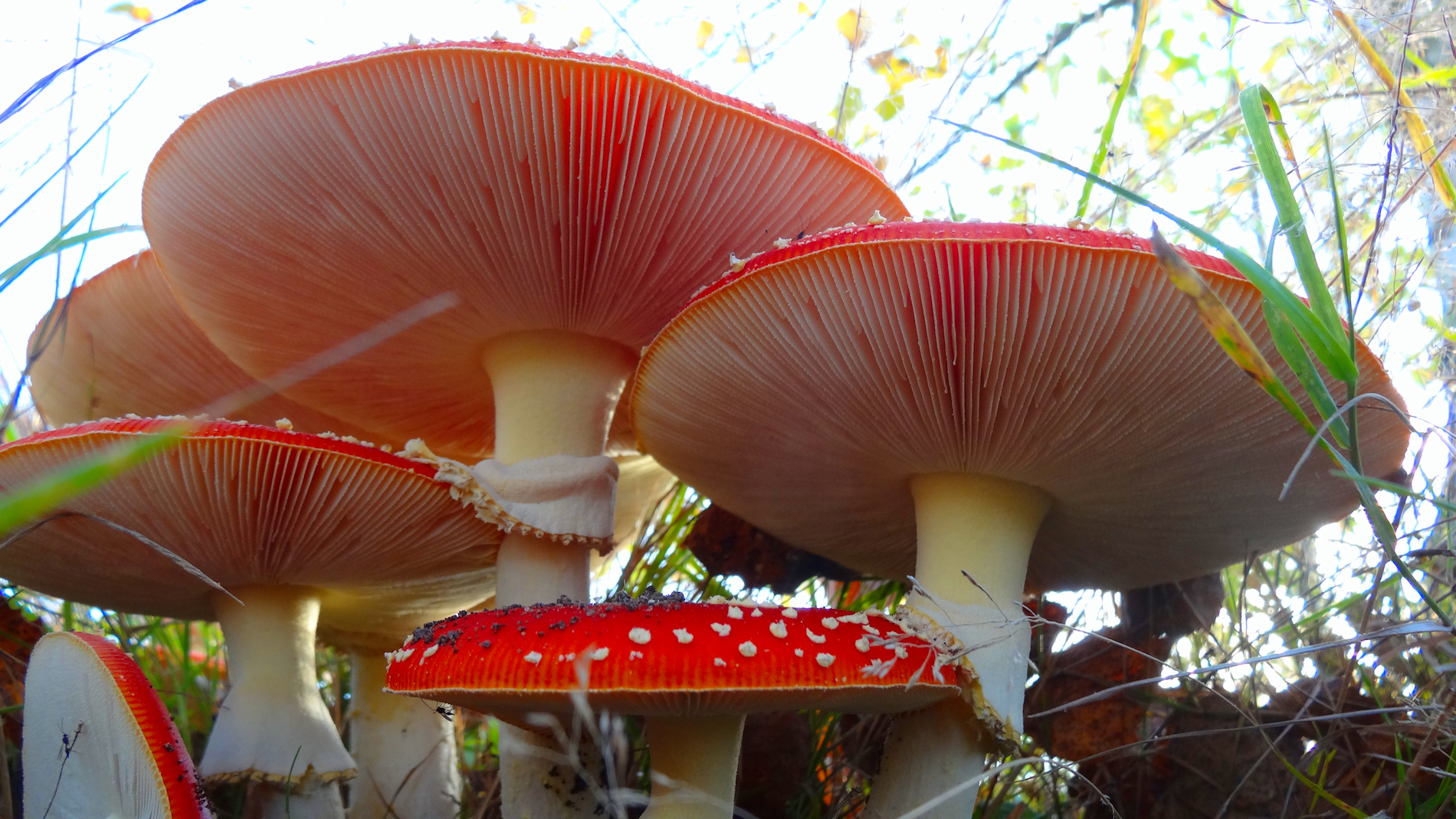 Opvallend: oktober was zowel nat als zonnig