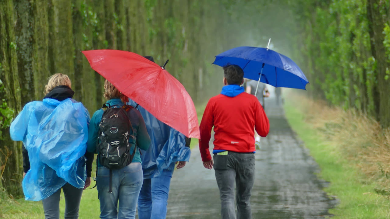 Regenjas en paraplu - Herfstweer - Nat en winderig - Wisselvallig weerbeeld