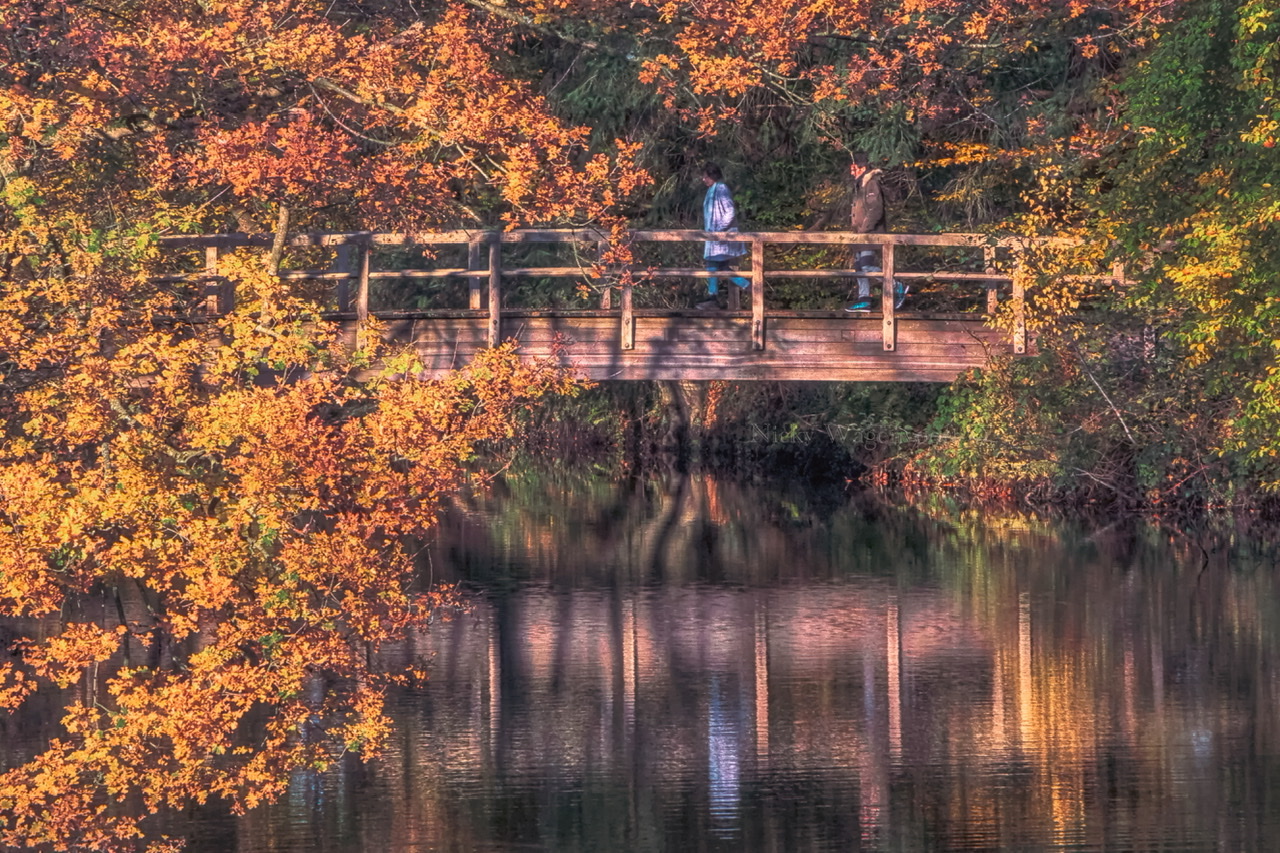 Update Maandverwachting Oktober: Weer In De Herfstvakantie