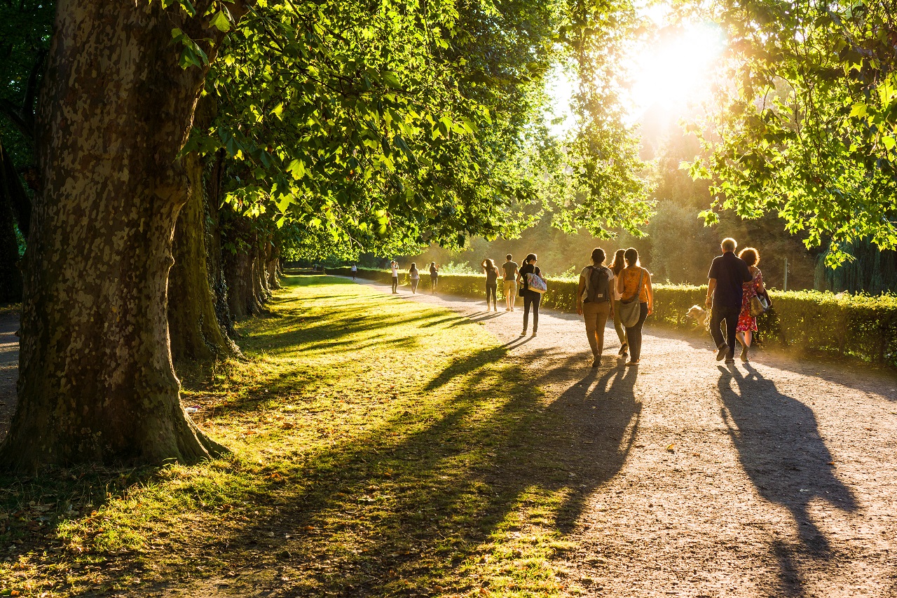 De 5 beste lange afstand wandelpaden van Nederland - Weeronline