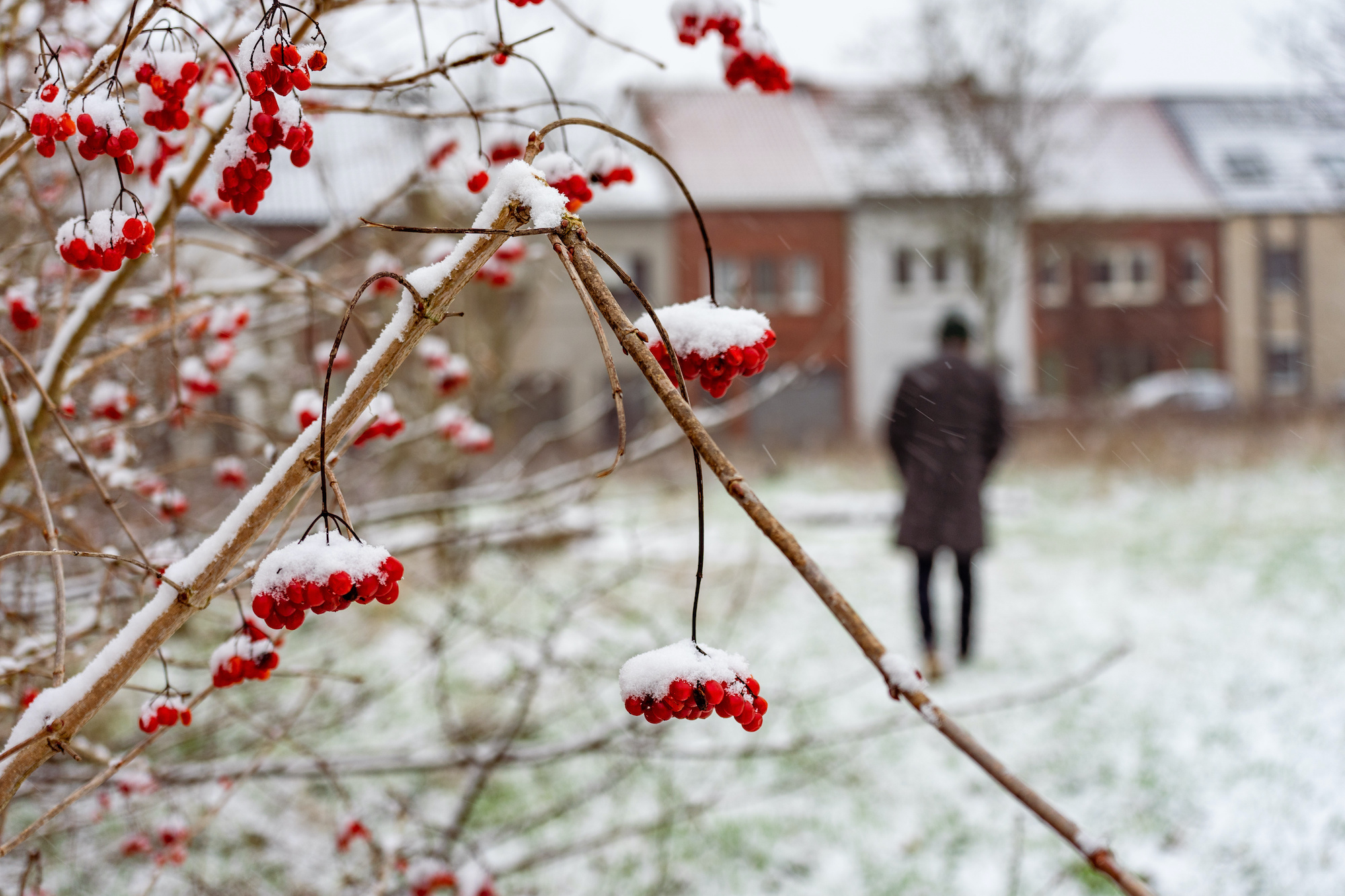 Zacht weekend voorafgegaan door sneeuw