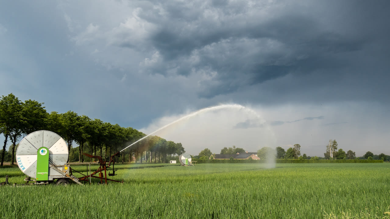 Door de gestage regenval zal de droogte op grote schaal verlicht worden. Foto: Jos Hebben.