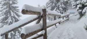 Eerste grootschalige sneeuwval op komst in de Alpen