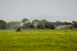 Brabants waterschap neemt extra maatregelen vanwege droogte