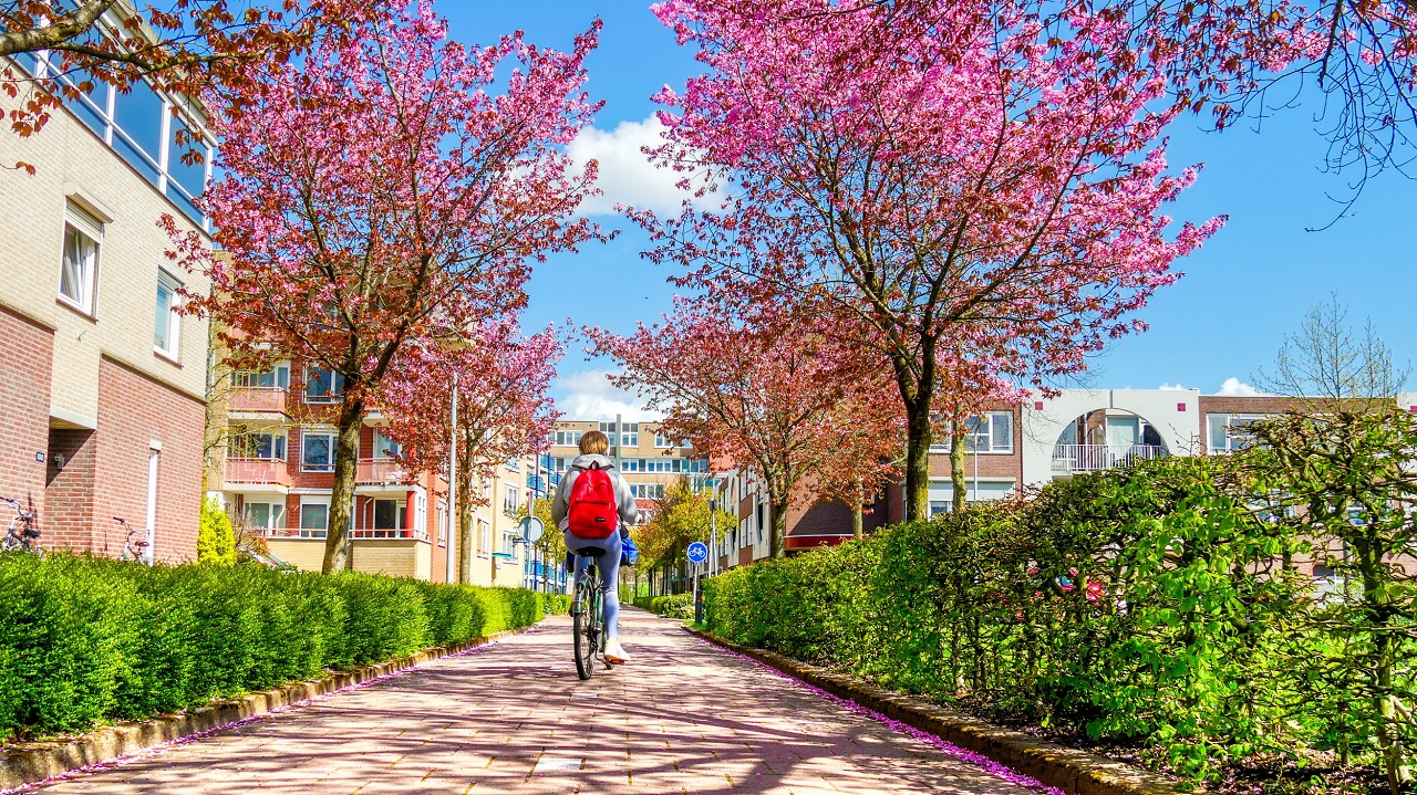 Weekendweer: zo zonnig wordt het