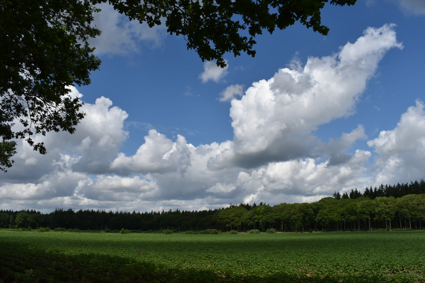 Stapelwolken en zon. Foto: Willem van Nunen