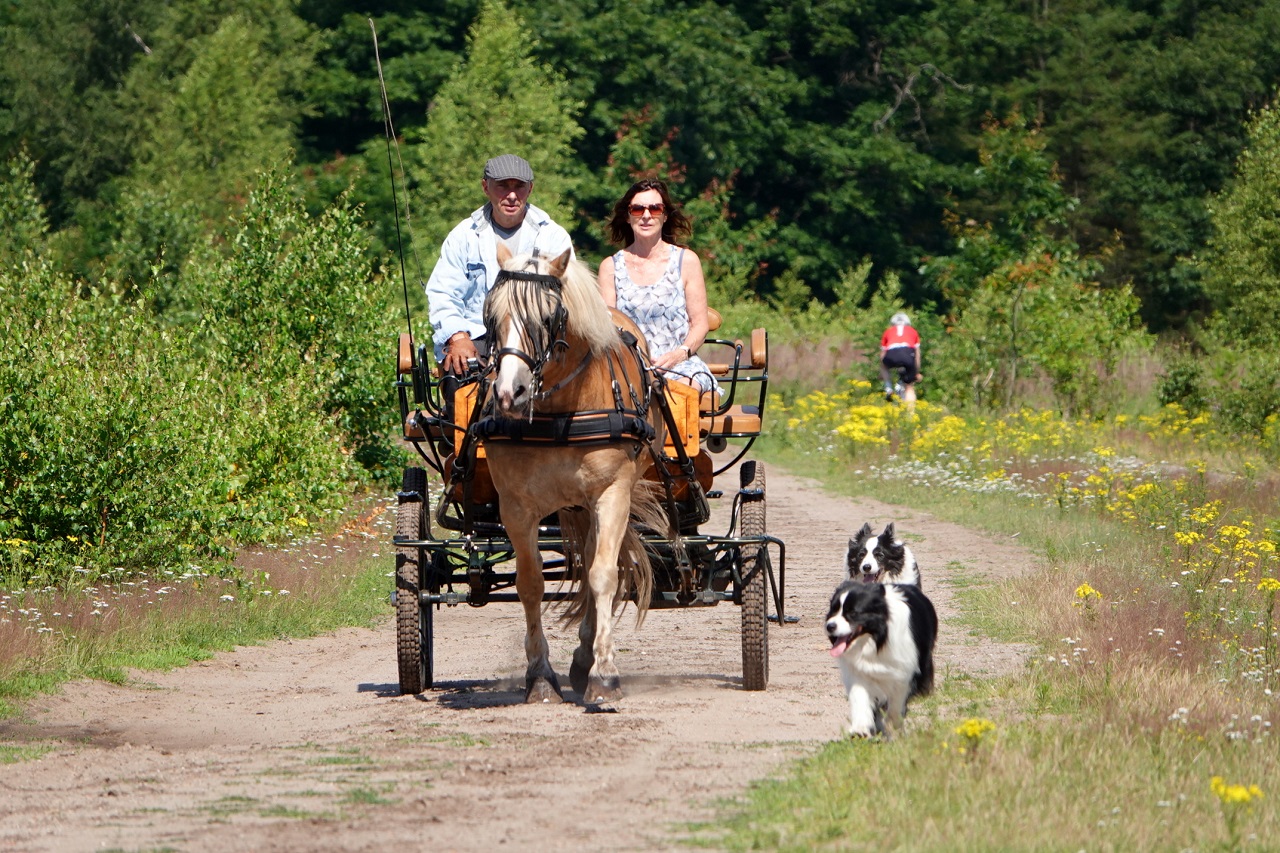 Weekendweer: groot verschil tussen zaterdag en zondag