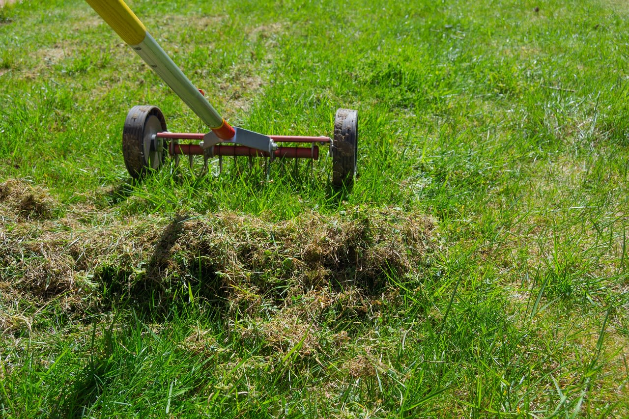 Pikken Crimineel aspect Moet je nu wel of geen gras maaien tijdens droog en zonnig weer?