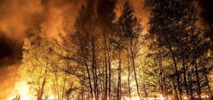 Dit is de invloed van het weer op bosbranden