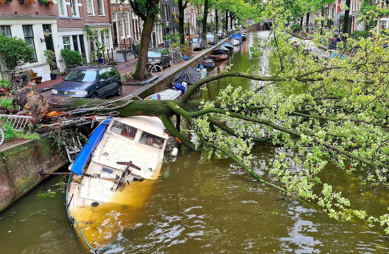 e0644056-schade-francis-ams-anp-intervisual-studip