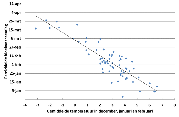 c045ff2f-forhold-temperatur-og-blomstrende-hassel